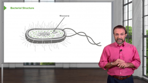 Microbiology